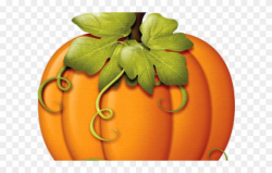 Harvest Clipart Colorful Pumpkin - Pumpkins With Vines ...