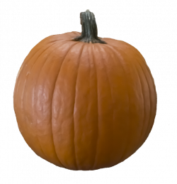 A cut out (png) pumpkin free to use by Kibblywibbly on DeviantArt