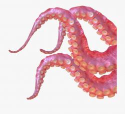 tentacles #octopus #animals #ocean #sea #freetoedit - Pink ...