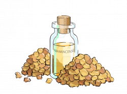 Frankincense Essential Oil by PixelMistArt on DeviantArt
