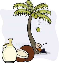 Types of Cooking Oil & Their Health Benefits | MyDoc Asia