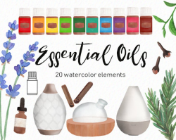 Essential oil clipart - oily clipart - essential oils - rosemary clip art -  watercolor essential oils - instant download - Commercial Use