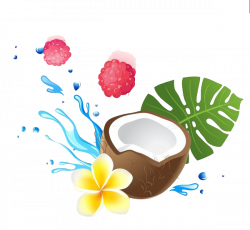 Coconut milk Coconut water Coconut oil Health - Cartoon coconut ...