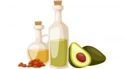 Monounsaturated fat from plants linked to better health - 9Coach