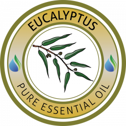 Eucalyptus Essential Oil - Essential Oils Supplies USA