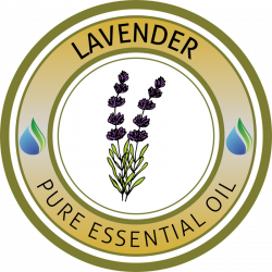 Lavender Essential Oil - Essential Oils Supplies USA