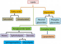 lipids – biochemtastrophy