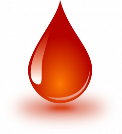 Blood Drop Clip Art at Clker.com - vector clip art online, royalty ...