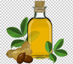 Soybean Oil Peanut Oil Olive Oil PNG, Clipart, Bottle ...