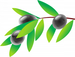 Olive Free Clipart