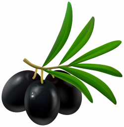 Black Olive PNG Clipart - Best WEB Clipart
