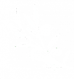 White Olive Branch Clip Art at Clker.com - vector clip art online ...