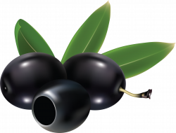Olives PNG images free download, olive PNG