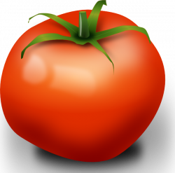 Tomato | Outline | Pinterest | Outlines and Clip art