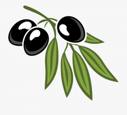 Olive Leaf Cartoon Royalty-free - Cartoon Pictures Of Olives ...