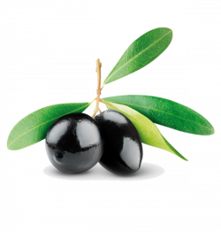 Extra Virgin Olive Oil-Olive Oil-Olive Pomace Oil - Greek Farm ...
