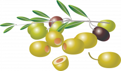 Pin by Charudeal on Clipart | Greek olives, Fruit, Leave pattern