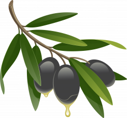 Olives Icon Clipart | Web Icons PNG