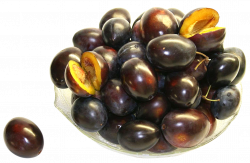 Plums PNG Image - PurePNG | Free transparent CC0 PNG Image Library