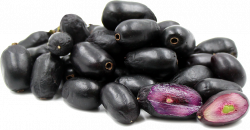 Download Jamun Java Plum Photos HQ PNG Image | FreePNGImg