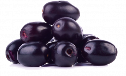 Download Jamun Java Plum Transparent Image HQ PNG Image | FreePNGImg