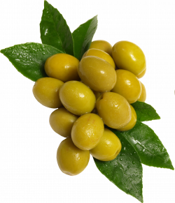 Olives PNG Image - PurePNG | Free transparent CC0 PNG Image Library