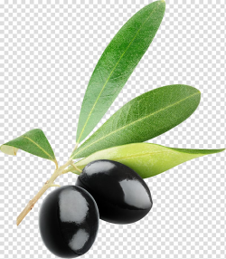 Two black fruits, Olive Icon , Black olives transparent ...