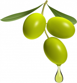 Olives High Quality PNG | Web Icons PNG