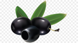 Olive Clip art - Black olives PNG png download - 3510*2675 - Free ...