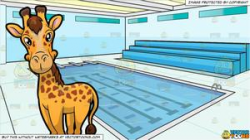 A Cute Looking Giraffe and Indoor Olympic Size Swimming Pool Background