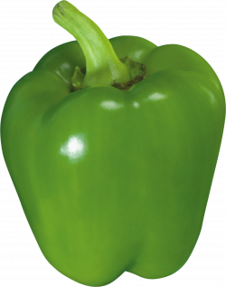 Pepper PNG image, free download pepper PNG picures