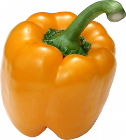 Yellow Bell Pepper One | Isolated Stock Photo by noBACKS.com
