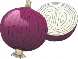 Onion Clipart Free | Clipart Panda - Free Clipart Images