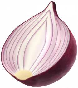 Red Onion PNG Clip Art Image | Gallery Yopriceville - High-Quality ...