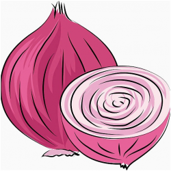 Onion Clipart Black and White Beautiful Taking A Look at the Api ...