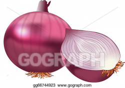 Vector Art - Red onion. Clipart Drawing gg66744923 - GoGraph