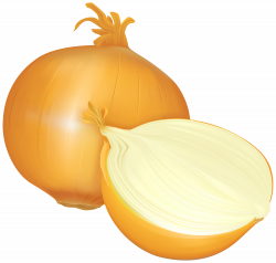 Onion PNG Clipart - Best WEB Clipart