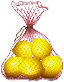 Onions packed in net bag - Download Free Vectors, Clipart ...