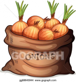 EPS Vector - A sack of onion. Stock Clipart Illustration ...