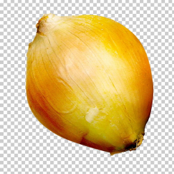 Onion Still Life Photography Fruit PNG, Clipart, Big, Big ...
