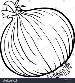 Onion clipart black and white 6 » Clipart Station