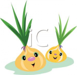 Cute Cartoon Onions - Royalty Free Clipart Picture