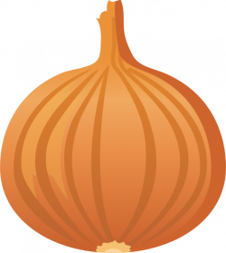 Yellow Onion Calabaza Pumpkin Food Vegetable - Onion Clipart ...
