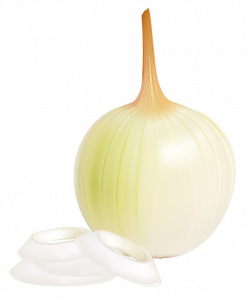 Onion PNG Picture Clipart | Gallery Yopriceville - High-Quality ...