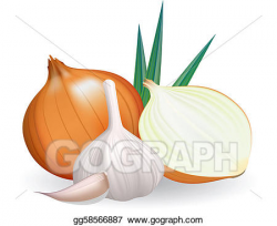 Vector Stock - Onion and garlic. Clipart Illustration ...