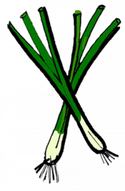 Green Onion Clipart | Clipart Panda - Free Clipart Images