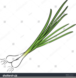 Free Green Onion Clipart | Free Images at Clker.com - vector ...