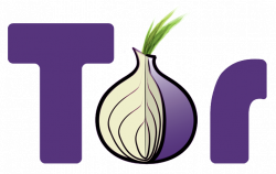 The Internet Underground: Tor Hidden Services