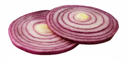 28+ Collection of Onion Slice Clipart | High quality, free cliparts ...