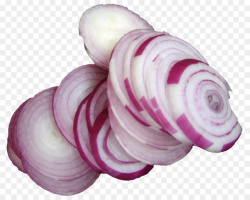 Onion Cartoon clipart - Vegetable, Purple, Food, transparent ...